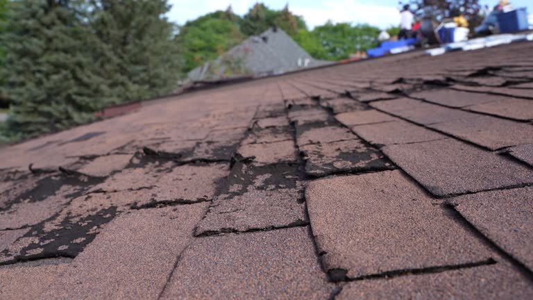 Best Emergency Roof Repair Services  in Scarsdale, NY